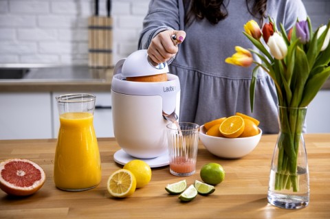 Lauben Electric Citrus Juicer 110WT Citrusprés